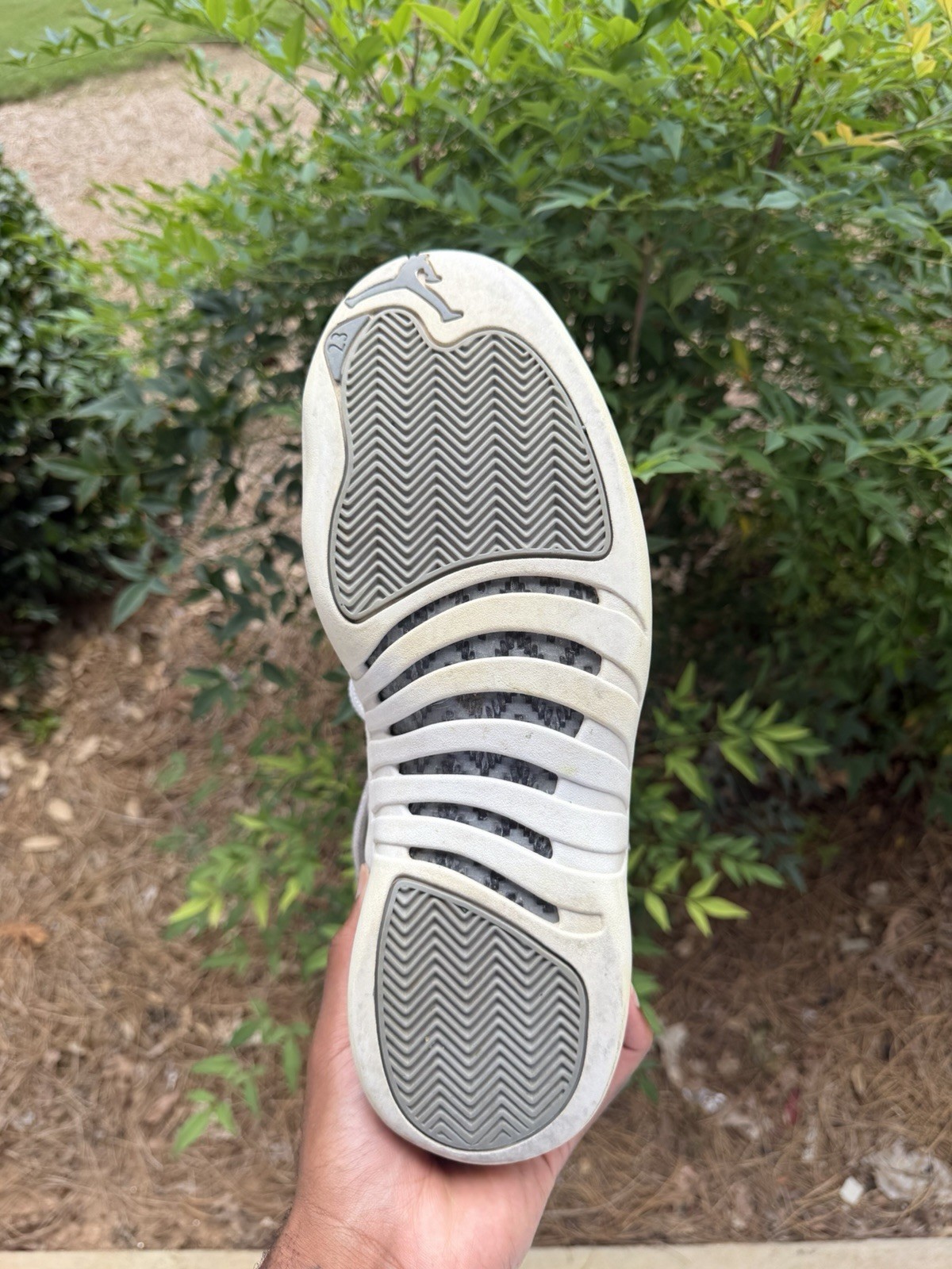 Size 12 – Jordan 12 Stealth 2022