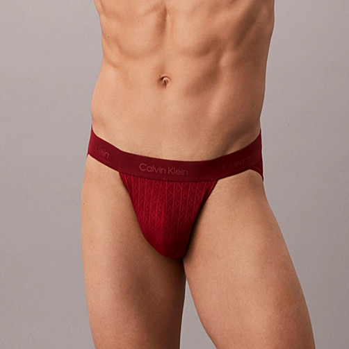 New Calvin Klein Microfibre Lace Sport Brief, Fall Berry, Extra Large