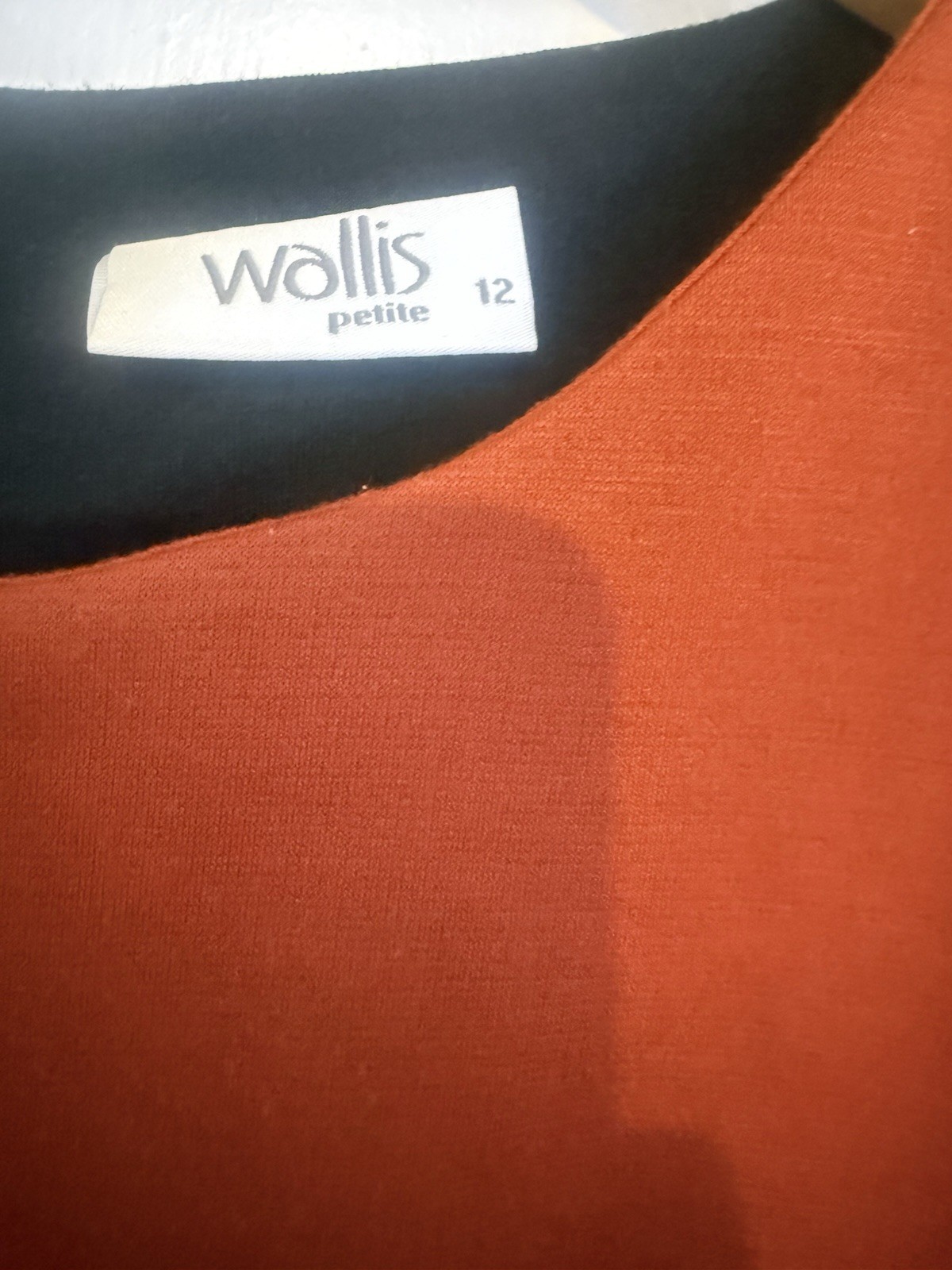 Wallis Petite Colour Block Dress UK 12 – Rust Red & Black Smart Occasion Dress