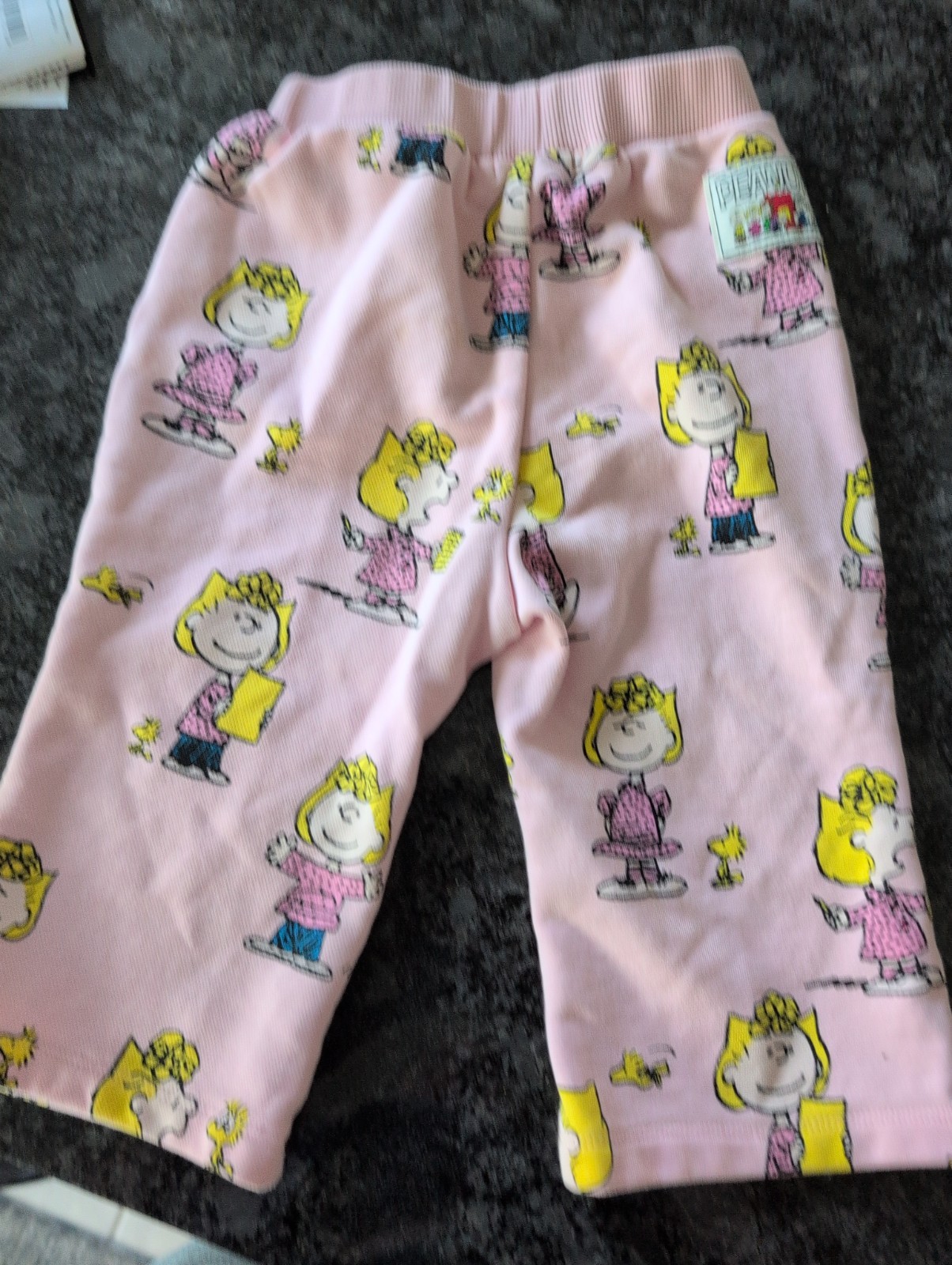 Peanuts Brand Pink 2T Sally Brown And Woodstock Sweatpants