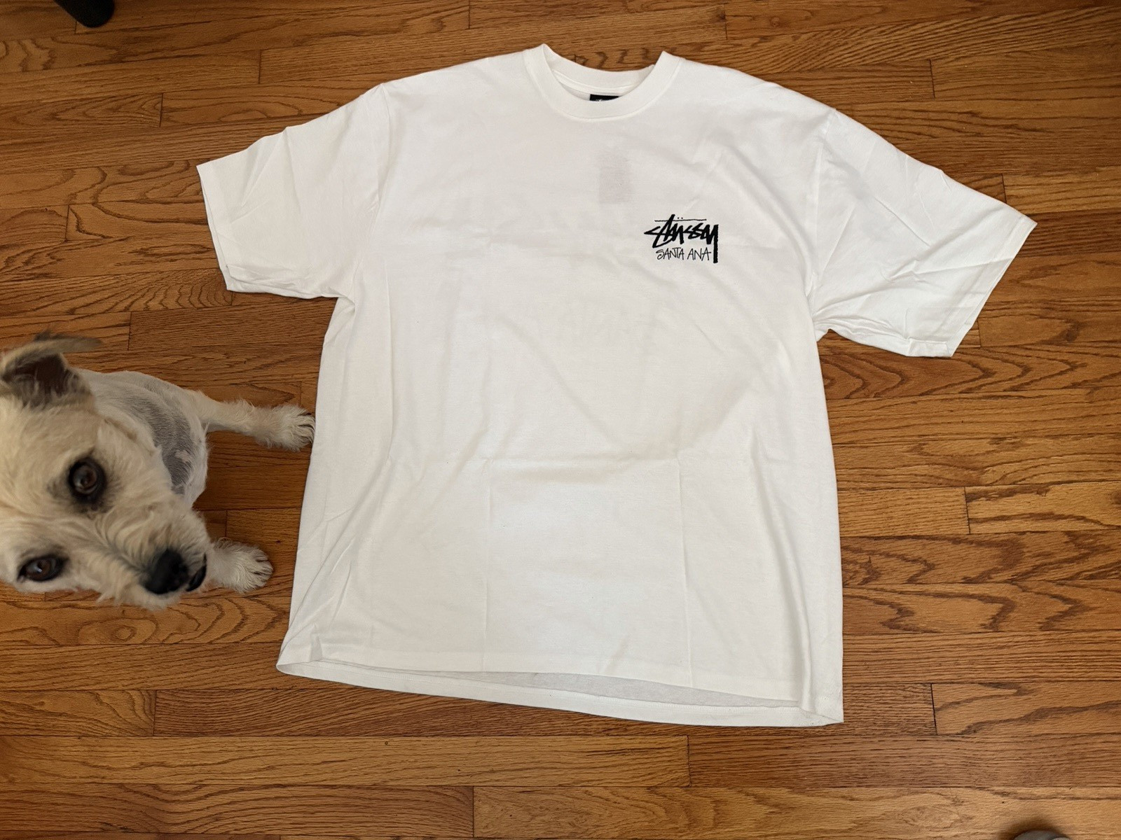White Stüssy Santa Ana Exclusive Chapter Tee