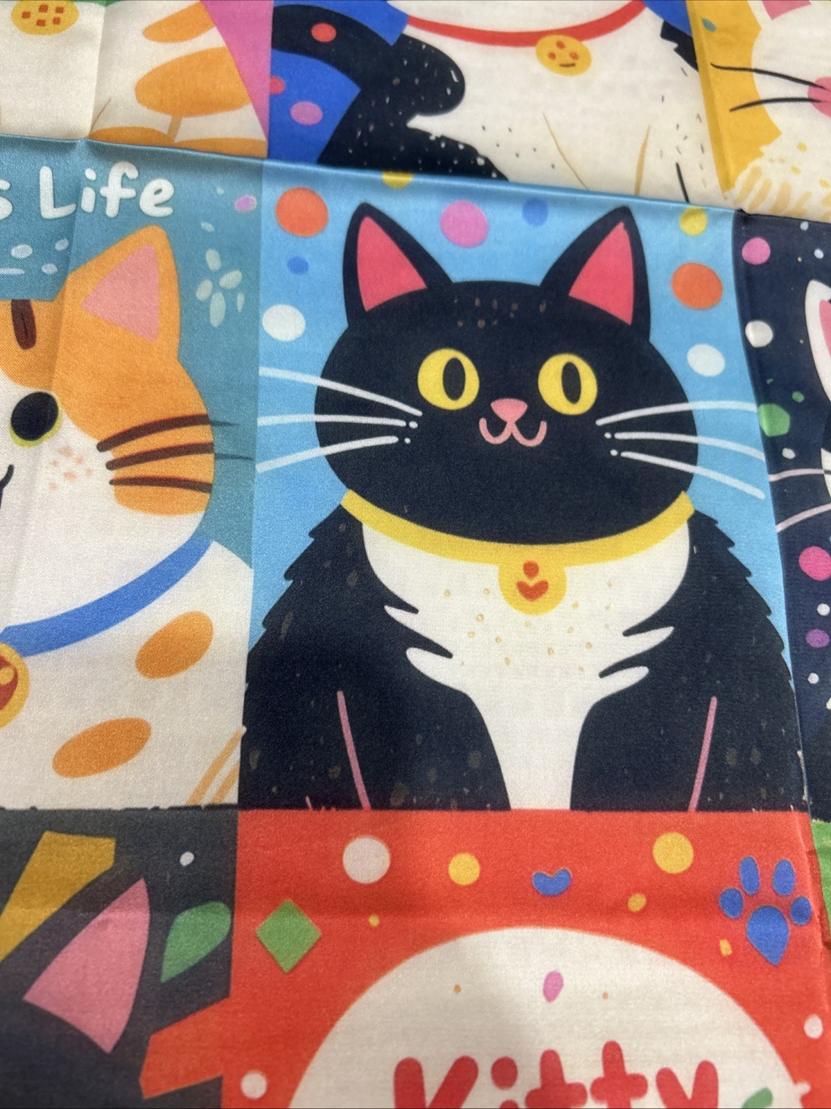 Colorful Cats Funky Fun 26” Square Scarf Floaty Green Border New Breeds Kitties