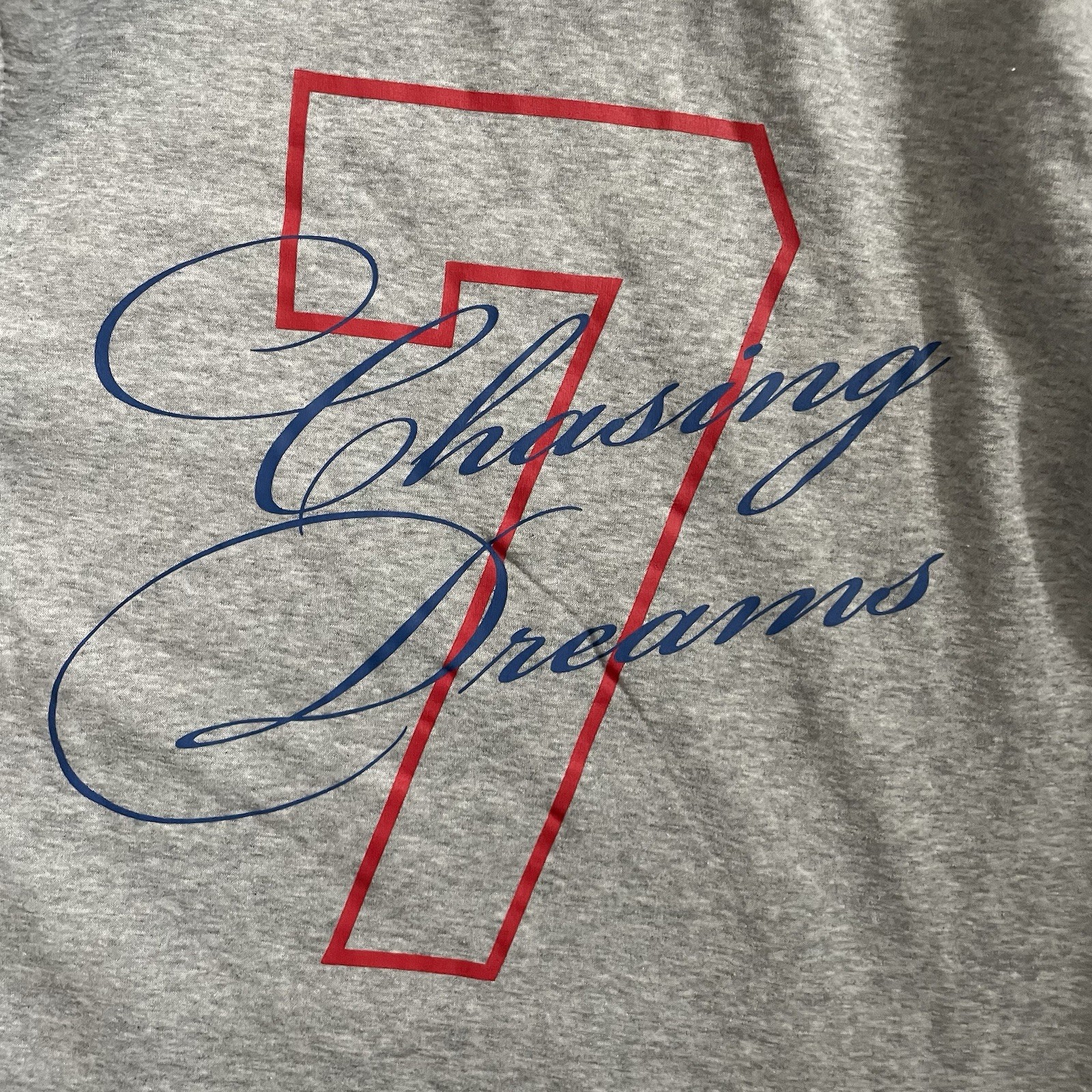 BROOKLYN TRADEMARK CLOTH MFG CO Gray Hoodie Sweatshirt Chasing Dreams Women’s L