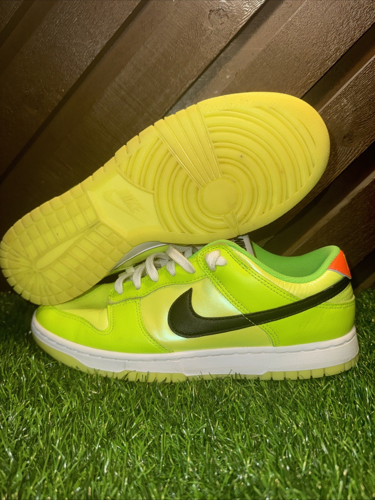 Size 10 – Nike Dunk SE Low Volt