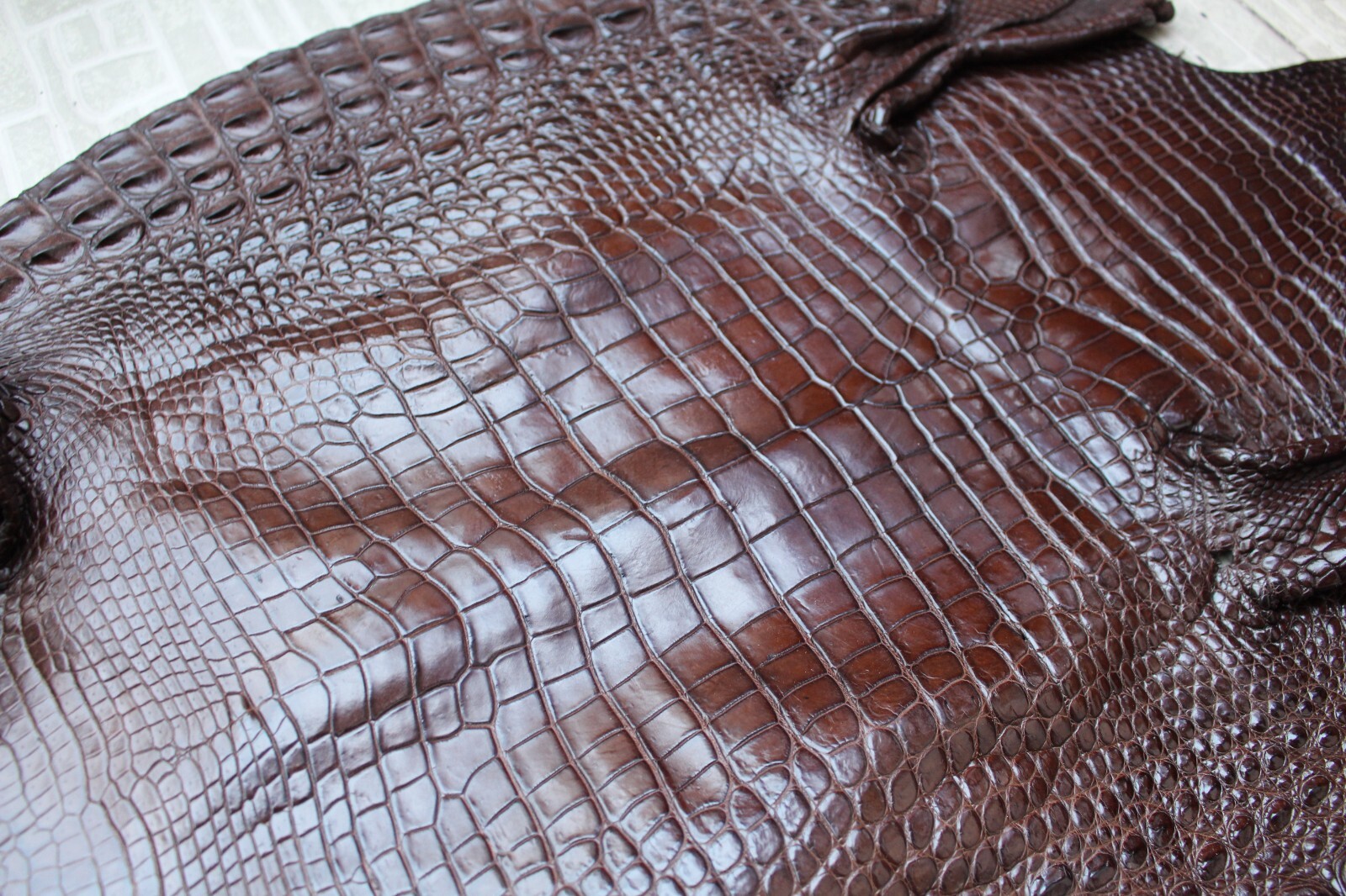 W1.3 inch Brown Real Crocodile Belly Leather Skin Men’s Belt Pin Buckle #K65