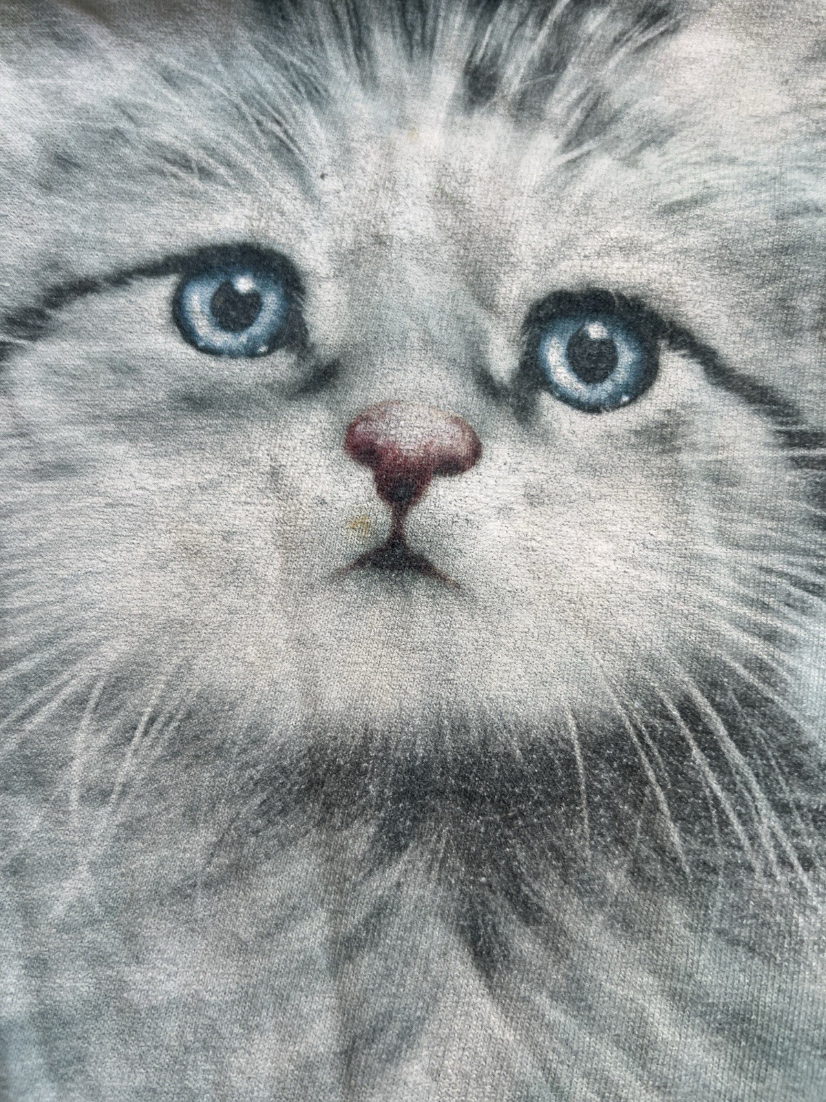 The Mountain Kitty Shirt Kids Medium