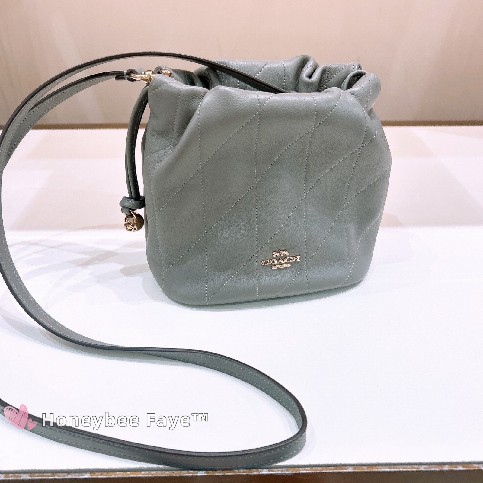 NWT Coach Faye Mini Drawstring Bag With Quilting CDB69/CDC42