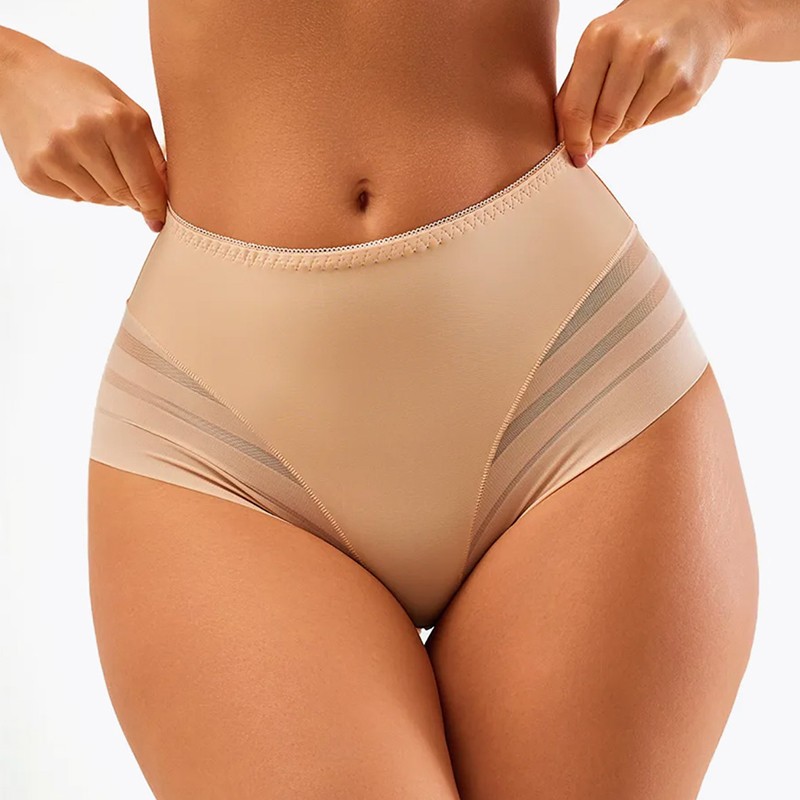 5 Pack Lot Sexy Womens See Through Sheer Panties Underwear High Rise Lingeries
