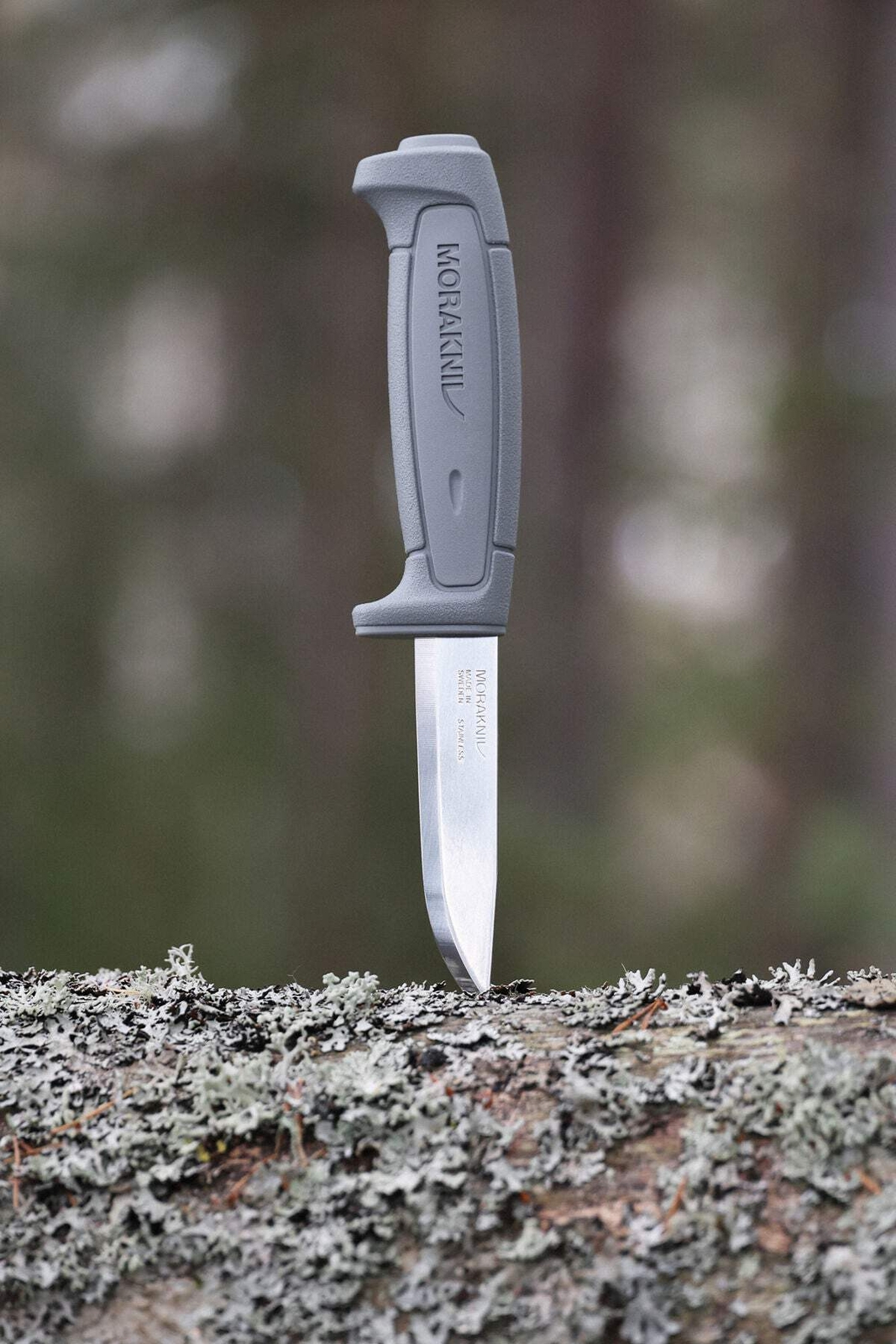 Mora Basic 546 Gray Handle Stainless Blade (Recycled) New 2025