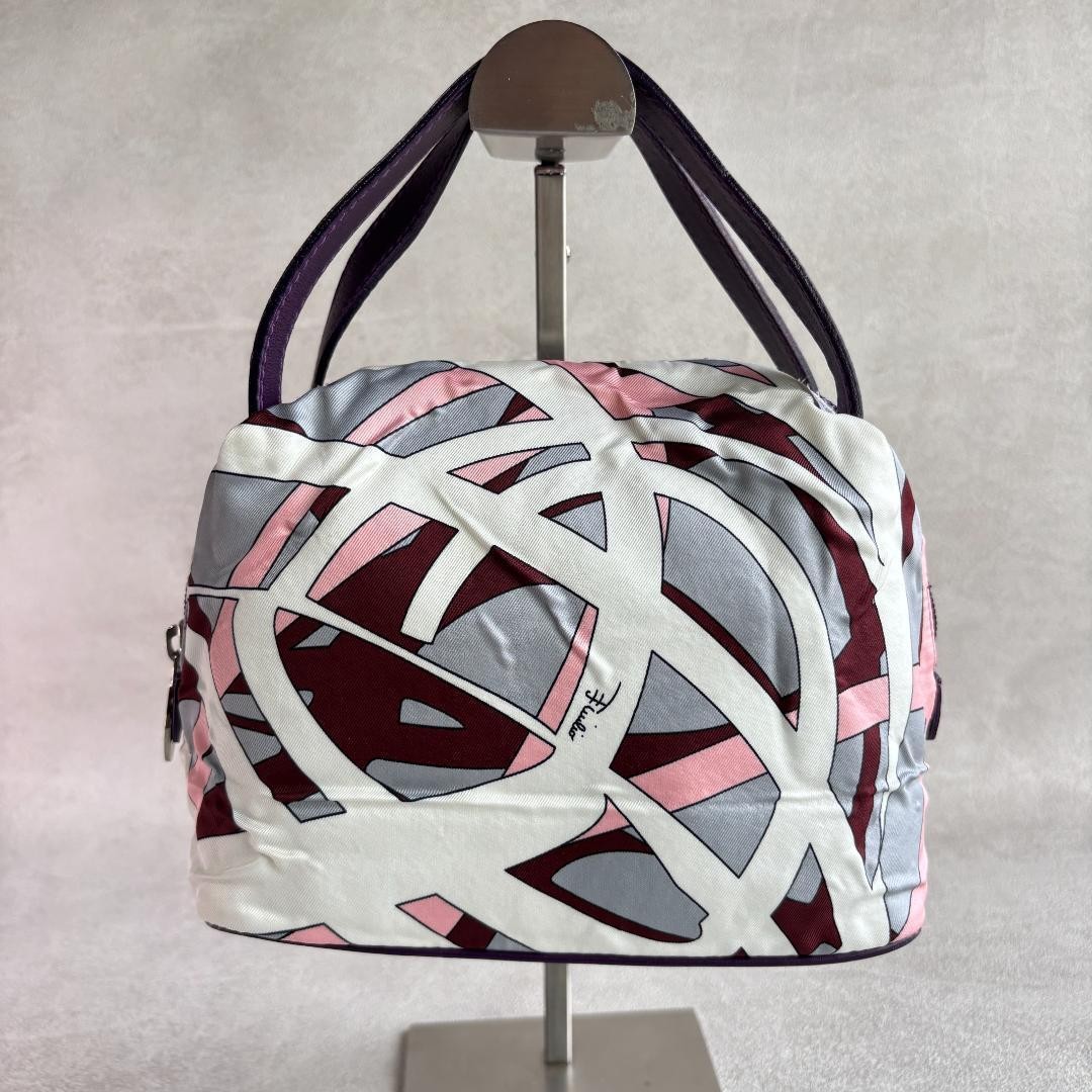 Emilio Pucci Vanity Pouch Handbag Multicolor Rare Authenticated