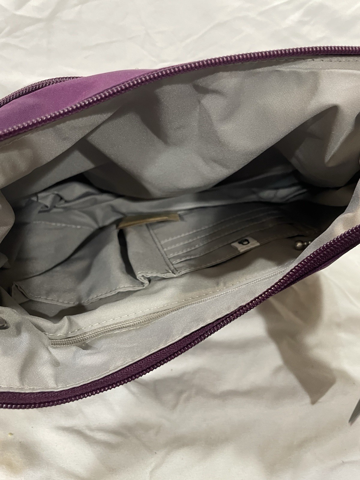 Baggallini Womens Securtex Anti-Theft Free Time Crossbody Bag, Mulberry