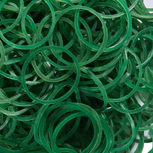 AMUU Rubber Bands 500pcs Green 1inch Small Rubber Bands for Hair 2.5cm Rubber