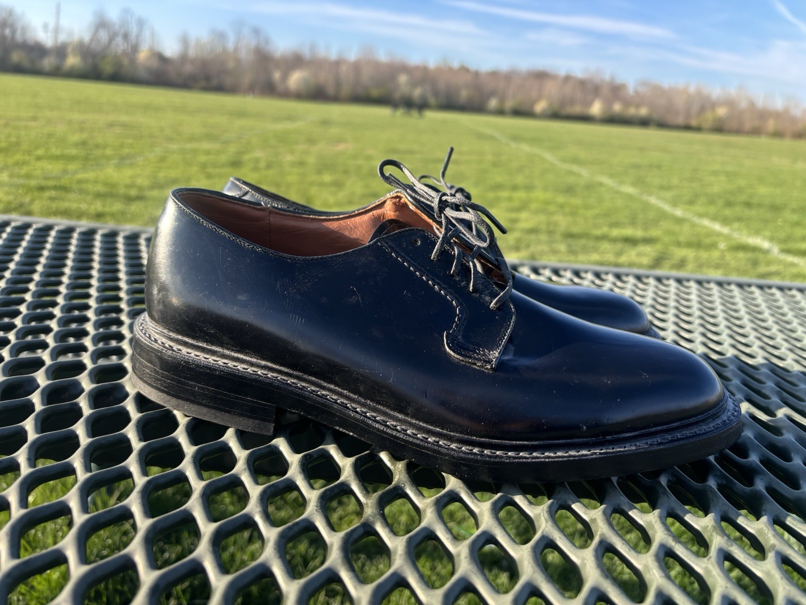 Bostonian Classics Blucher Men’s Shoes Size 8 D/B