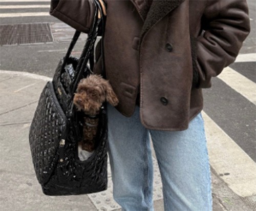 MZ WALLACE Metro Dog Carrier Tote Shoulder Bag ~NWT~ Quilted Black Lacquer