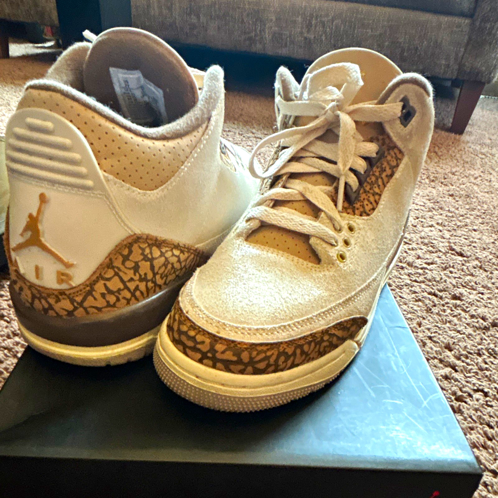 Jordan Air Jordan 3 Retro (GS) Orewood Brown/Gold Sneaker US 7 DM0967-102