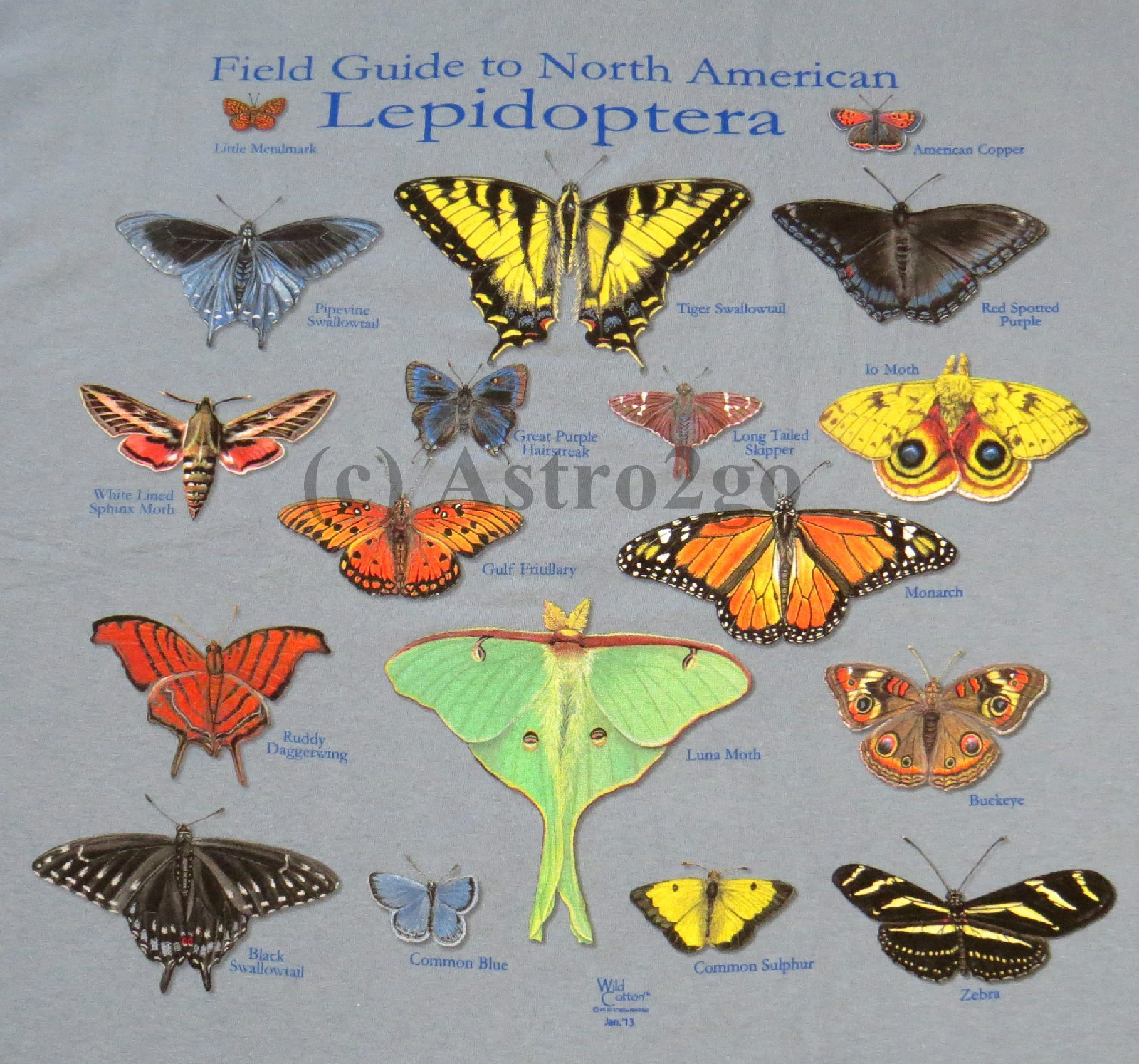 NORTH AMERICAN LEPIDOPTERA-Butterflies Moths Insects Nature Science T shirt S-2X