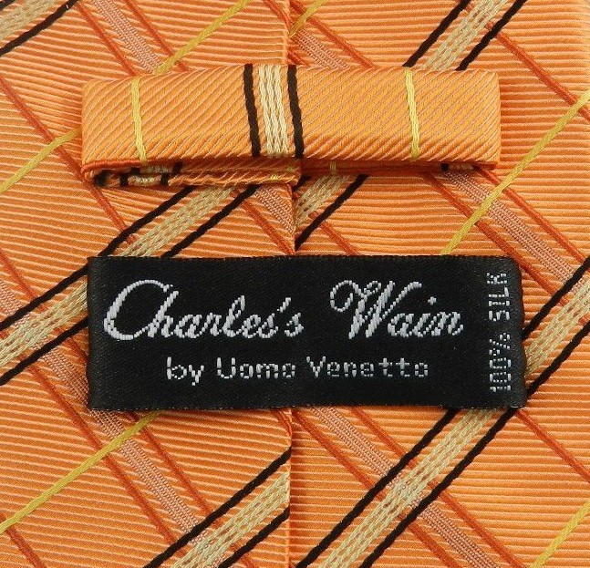Charles’s Wain by Uomo Venetto Men’s 60″ Necktie Orange Striped Silk Career