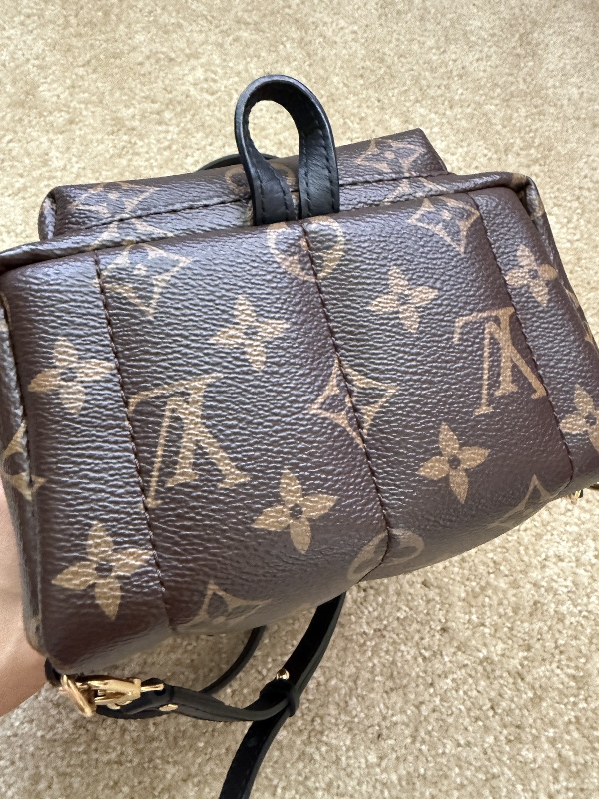 Louis Vuitton Palm Springs Backpack Mini Brown Canvas Monogram