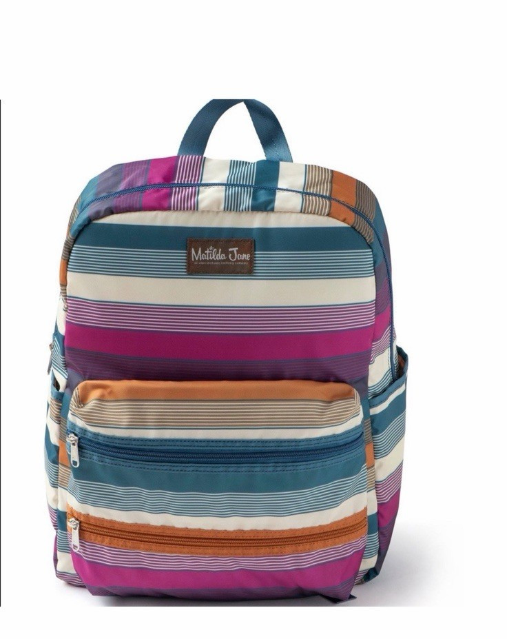 MATILDA JANE ALL THE HOMEWORK PINK BLUE GOLD STRIPED LARGE 17″ * 13″ NEW NWOT
