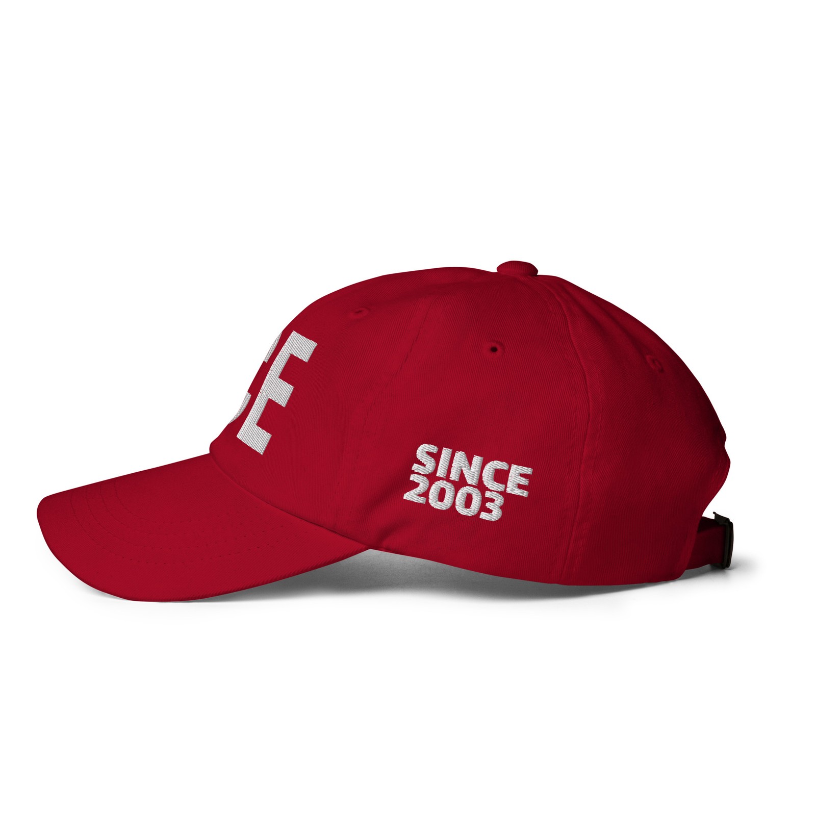 ICE Immigration Since 2003 Embroidered Dad hat/cap