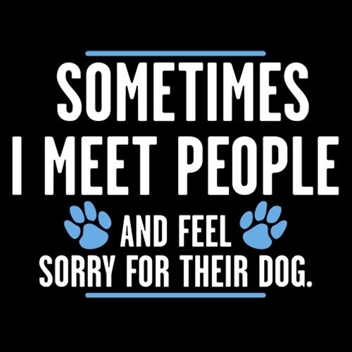 Sometimes I Meet People And Feel Sarcastic Humor Graphic Novelty Funny T Shirt