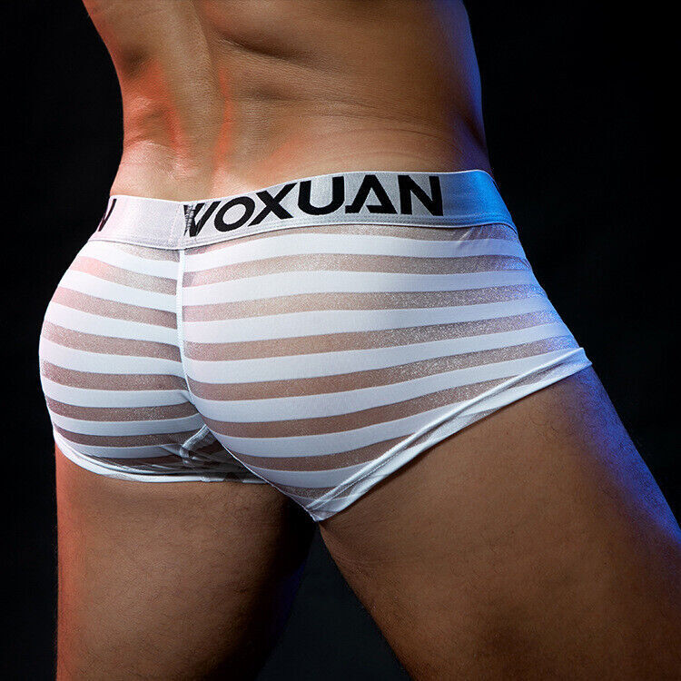 Men’s Sexy Underwear Transparent Underpants Boxers Mesh Shorts Pouch Briefs
