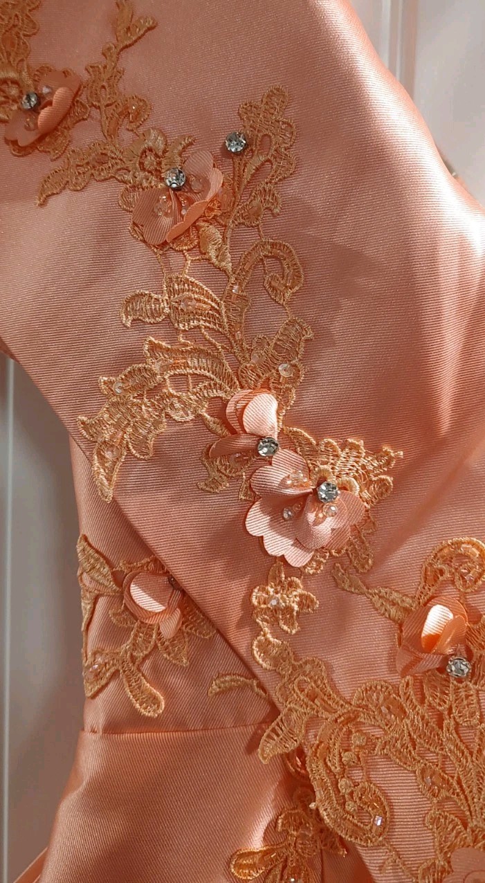 Terani Couture 241E2468 Evening Dress Coral ~LOW PRICE~ NEW Authentic