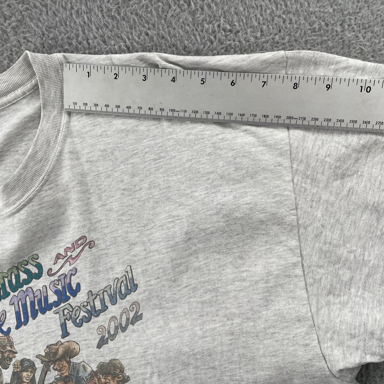 Vintage Hanes Beefy-T Men’s XL Gray T Shirt 2002 Santa Fe NM Bluegrass Festival