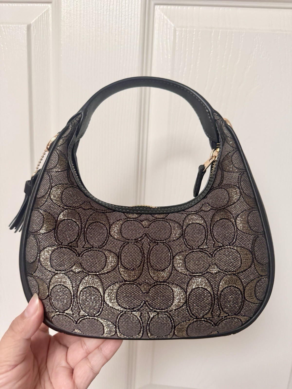 NWT Coach CCF76 Carmen Mini Crossbody Bag In Signature Jacquard Leather $298