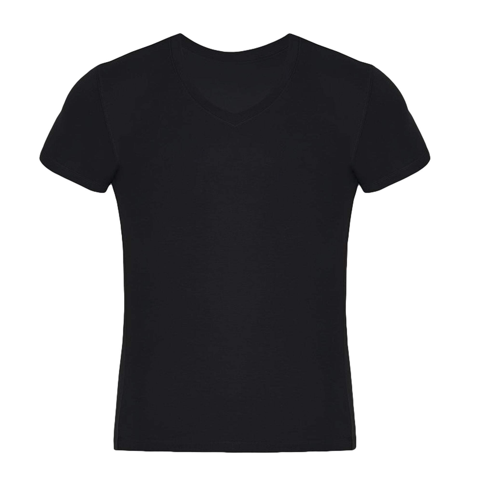 Premium V Neck T Shirts for Men Rayon Made from Bamboo Tees Moisture Wicking Und
