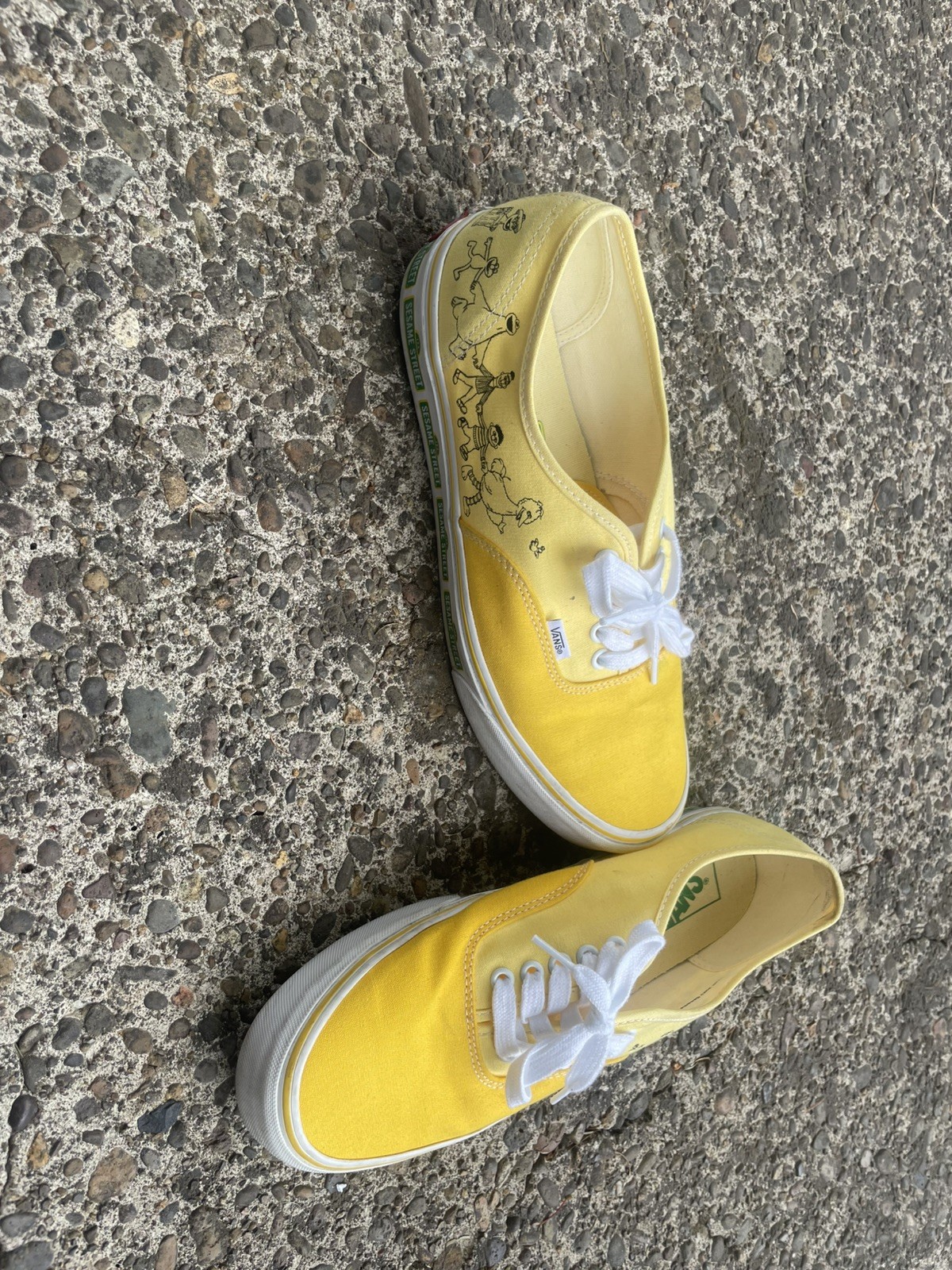 RARE VANS X SESAME STREET AUTHENTIC MEN’S SZ 11 SHOES VN0009PVYLW1