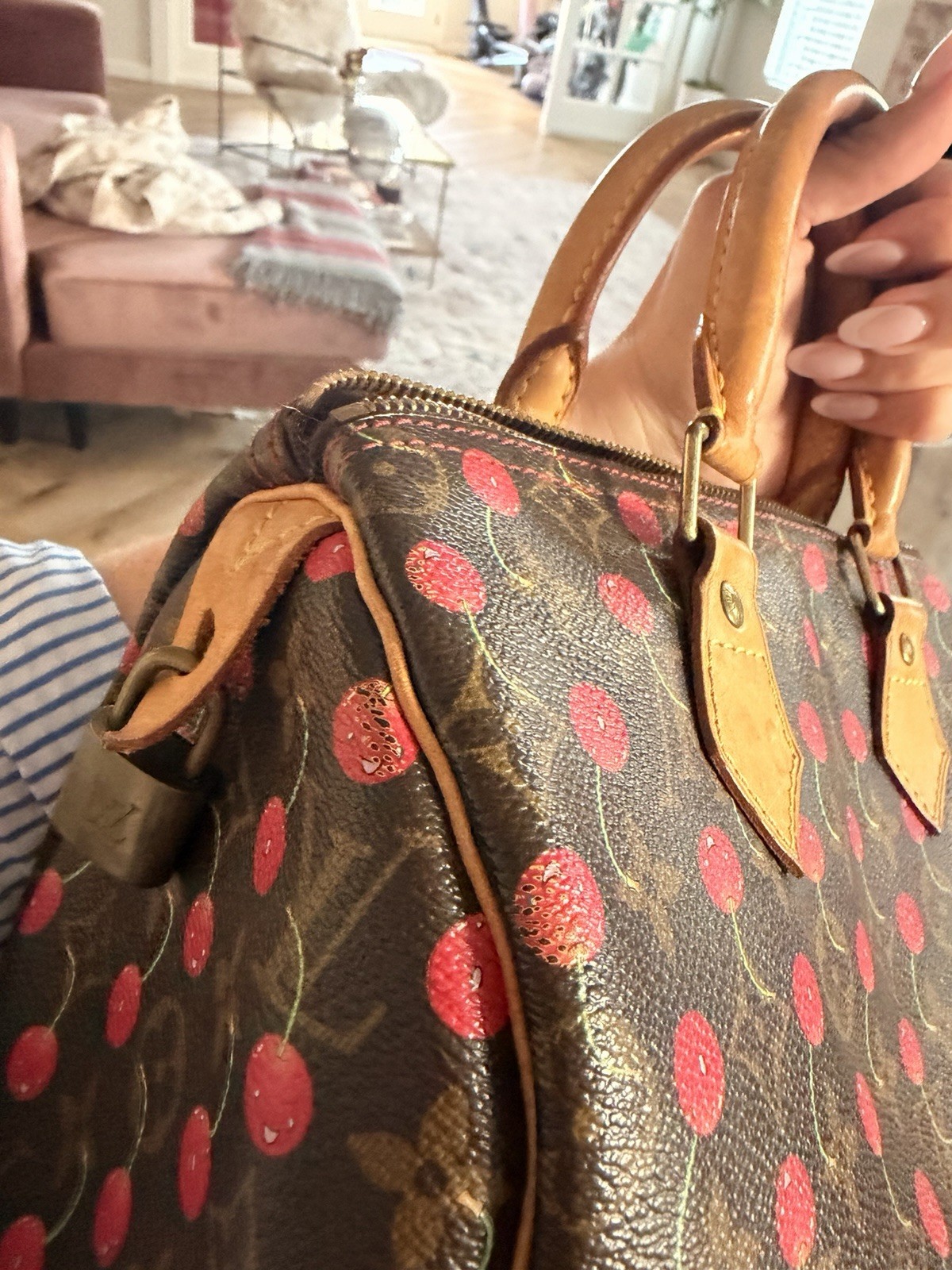 Vintage Louis Vuitton x Takashi Murkami Cheries Speedy 25