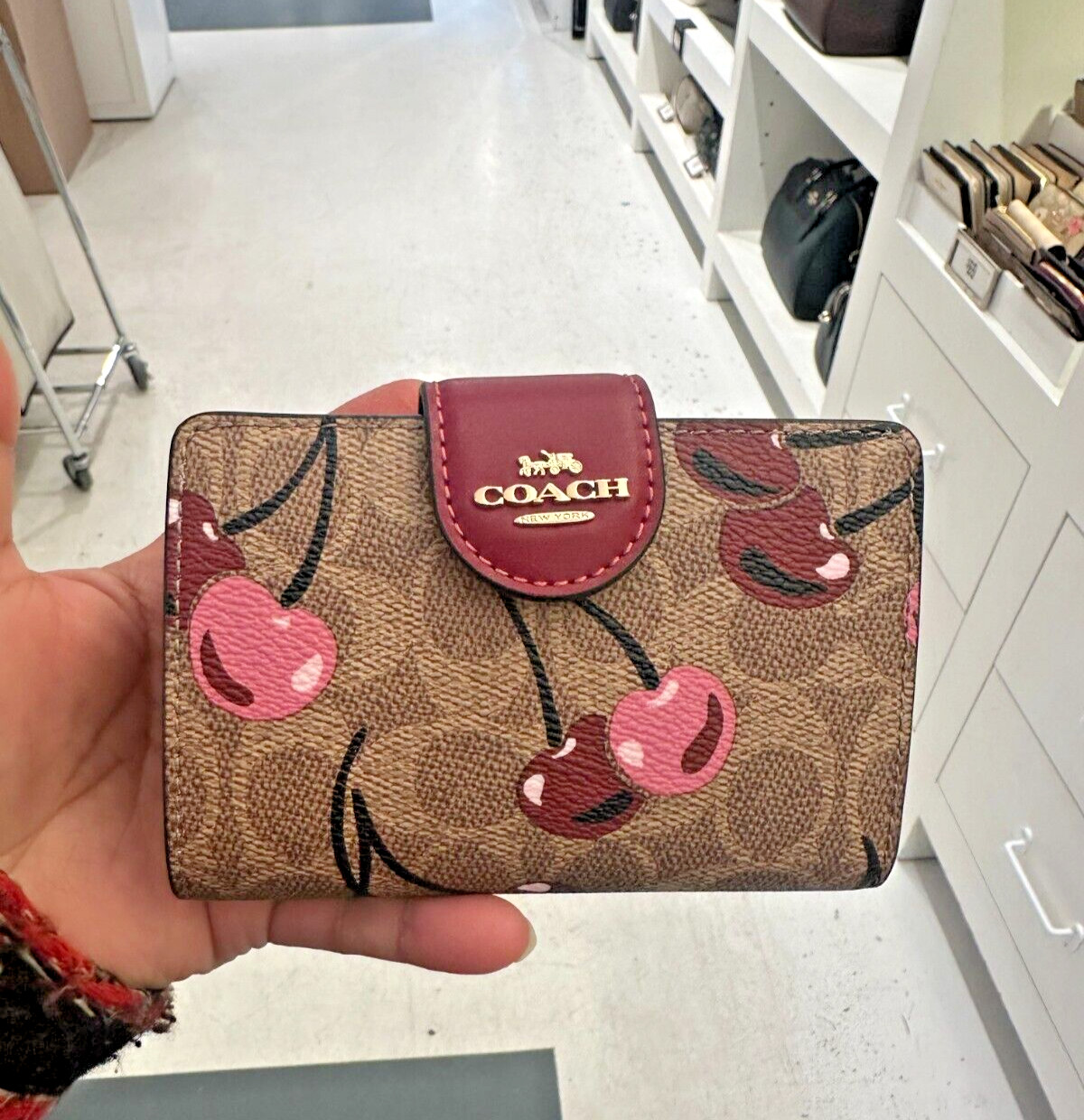 🍒Coach Medium Corner Zip Wallet CZ342 Signature Canvas w/Cherry Print NWT🍒