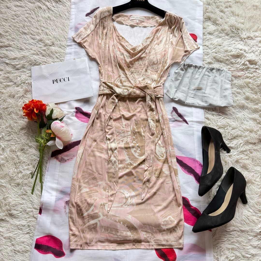 Emilio Pucci Print Dress Dusty Pink Belted Women’s Size IT42 Pouch Included