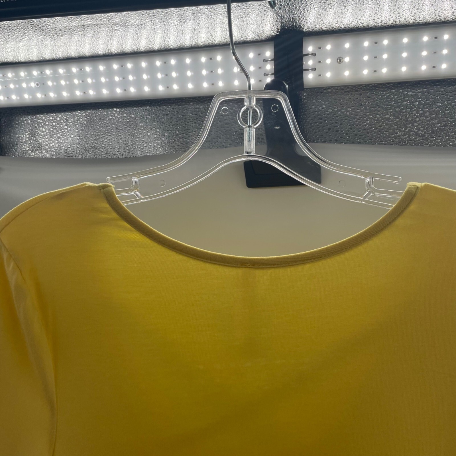 Lime n Chili Crisscross V-Neck Short Sleeve Blouse Womens Size Small Yellow