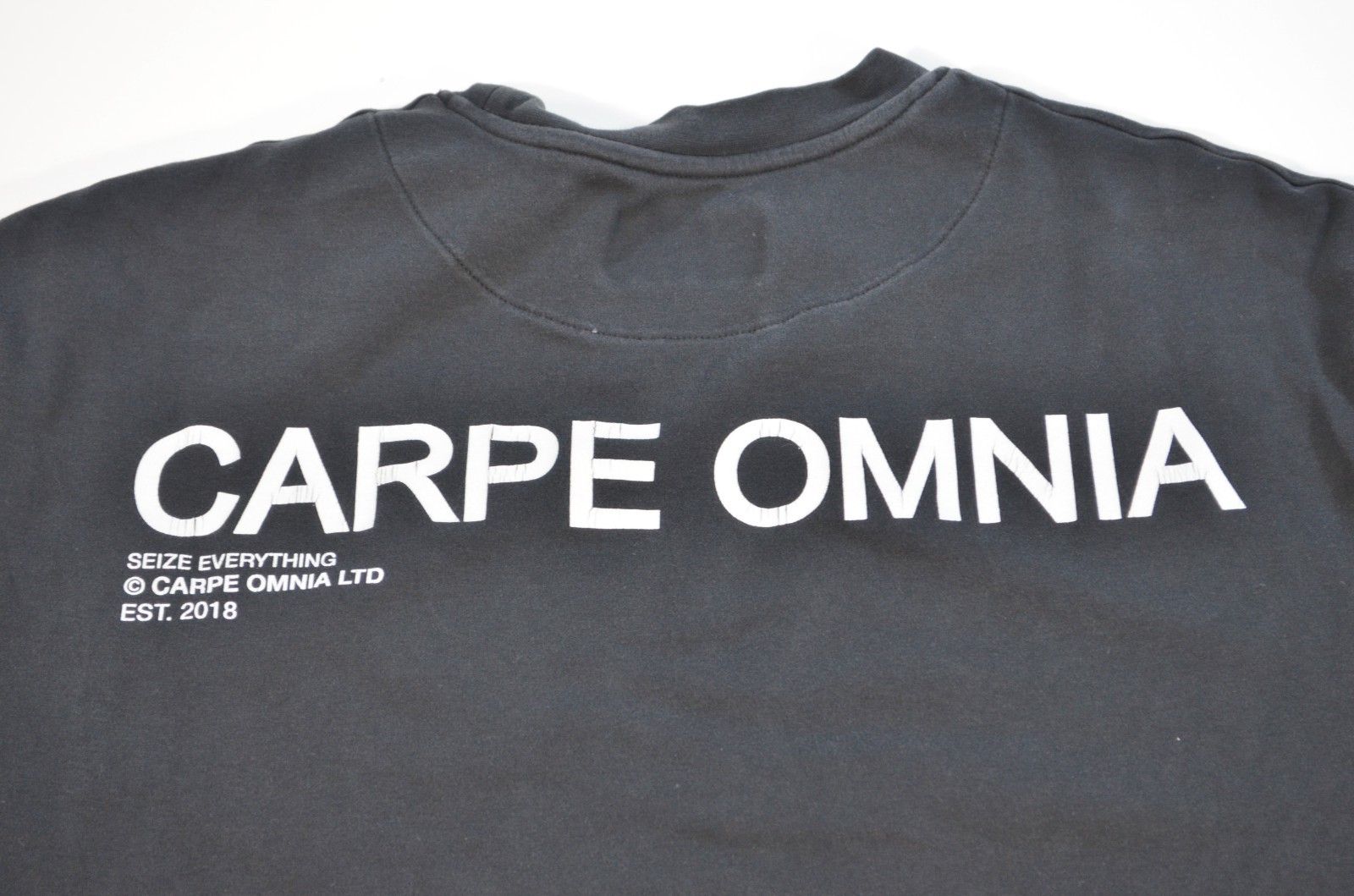 Carpe Omnia Men’s Short Sleeve Cotton T Shirt Seize Everything Medium 2018