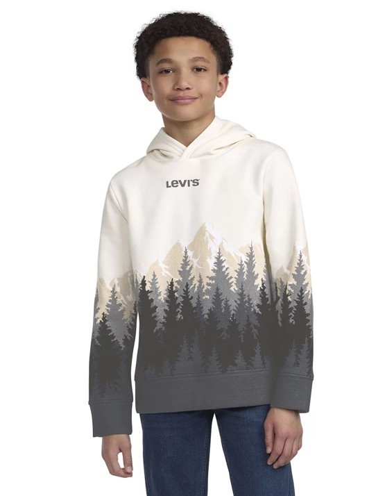 Levi’s Boy’s Hoodie Easy Fit Soft Fleece Size XS (4-5) Dark Shadow Pine Trees