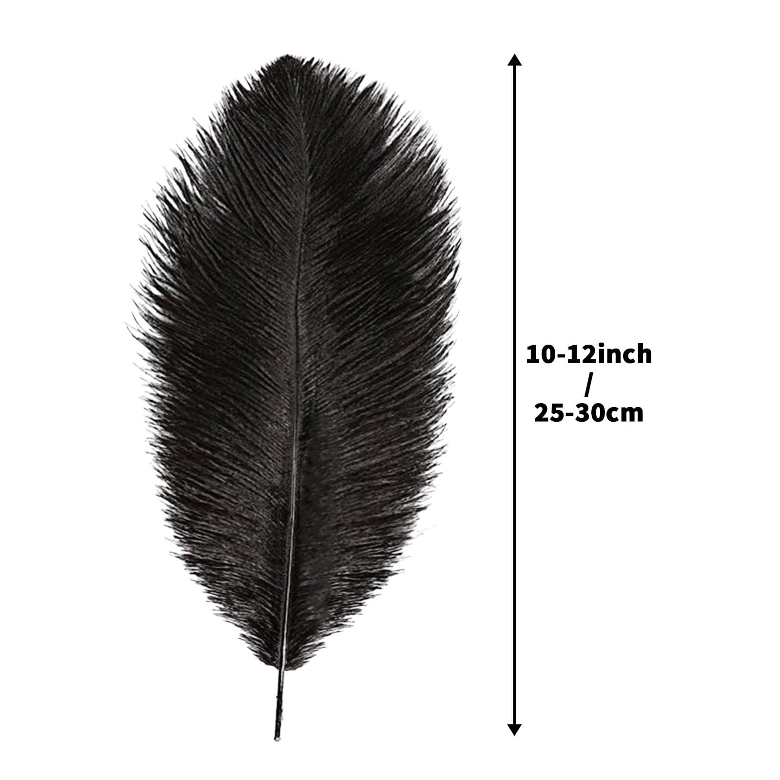 Rgontar 10-12 inches Black Ostrich Feather,Large Natural Ostrich,Plumas para …