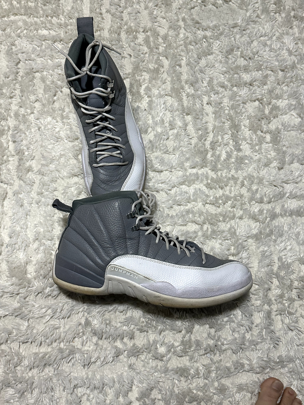 Size 14 – Jordan 12 Stealth Nike