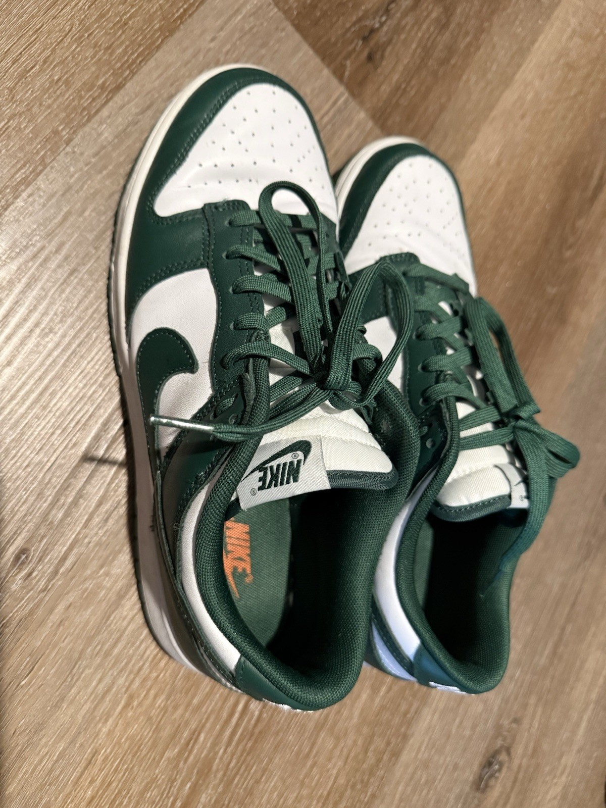 Nike Dunk Low Michigan State Size 10.5