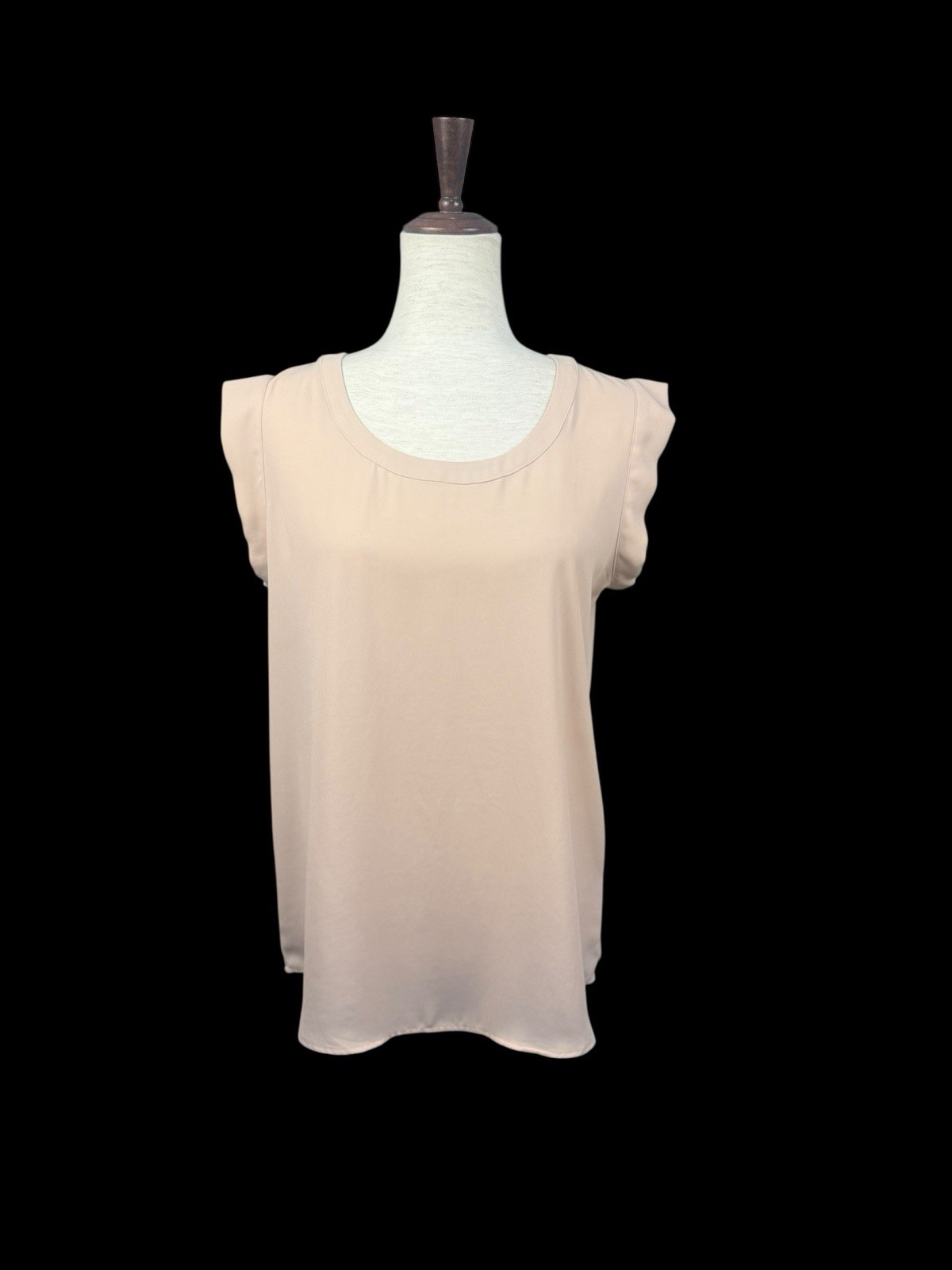 Pleione Women’s Blouse Size Small Sheer Pink Lightweight Top New