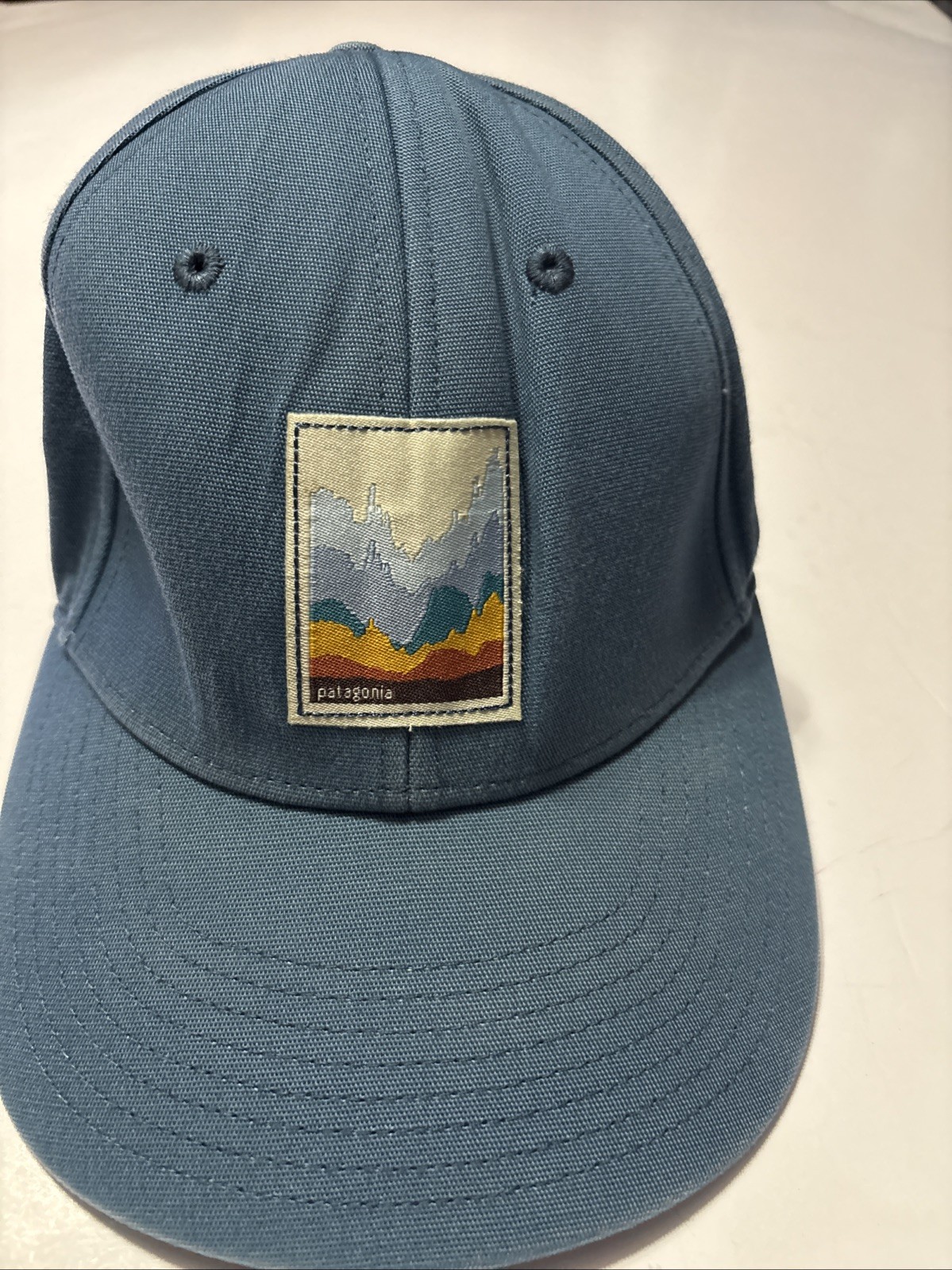 PATAGONIA “Graphed” Roger That Hat – Trucker Blue – Fall 2014