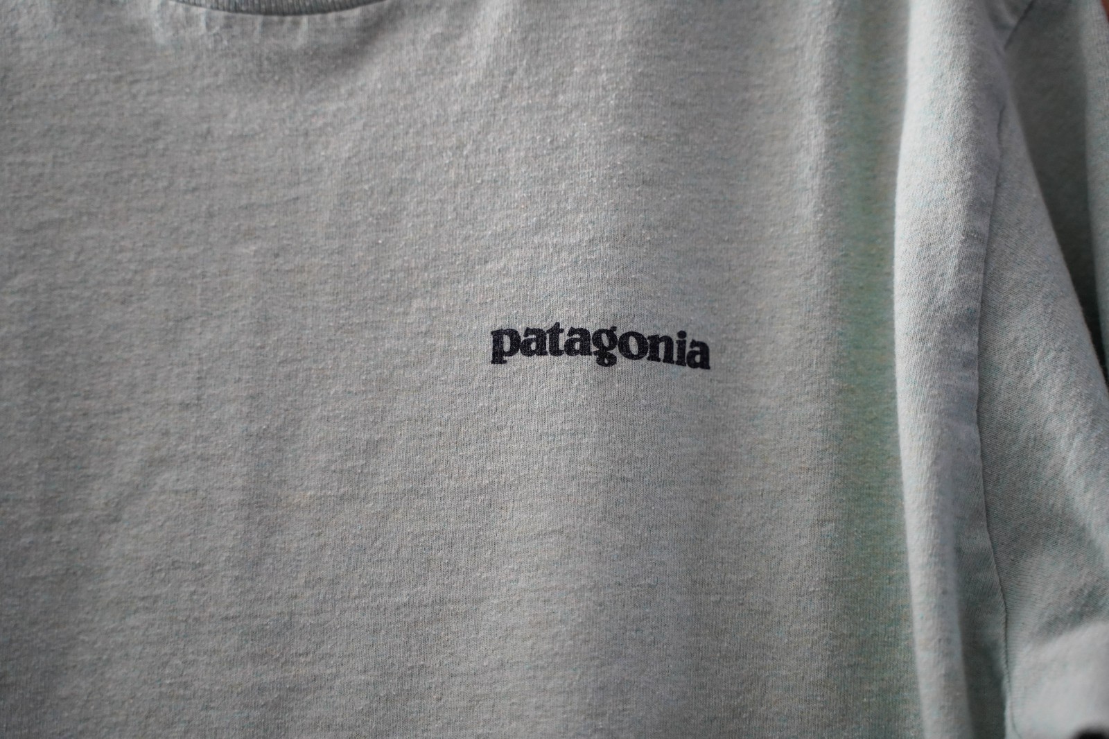 Patagonia Responsibili-Tee Men’s M Sage Green Cotton Crew Neck Logo Graphic Tee