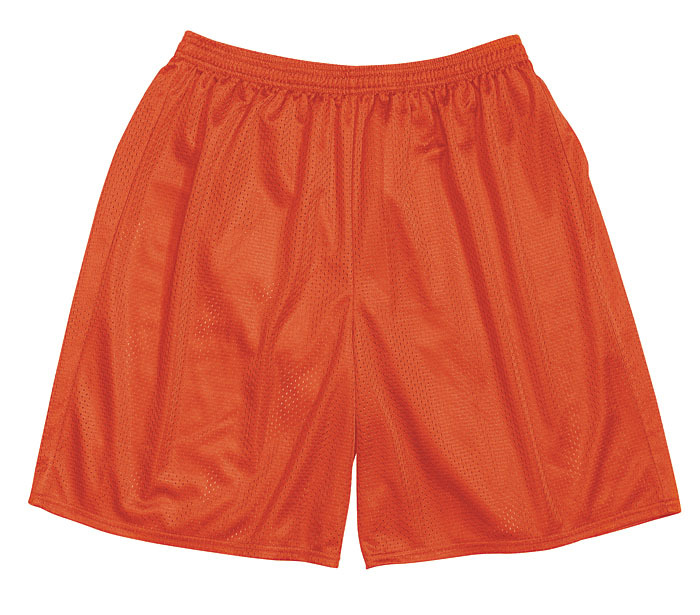 Men’s Athletic Mesh Shorts -11 Assorted Colors