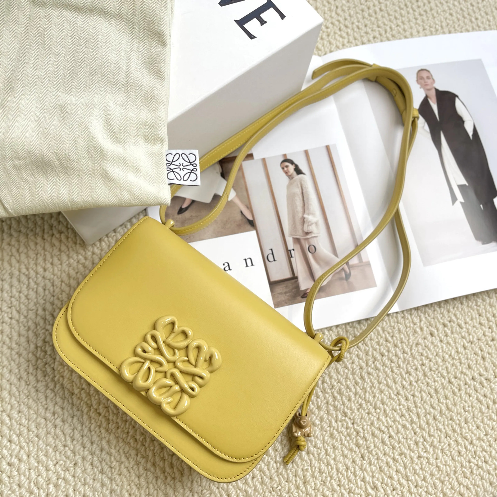 Loewe Goya Leather Yellow Glaze Small Shoulder Bag