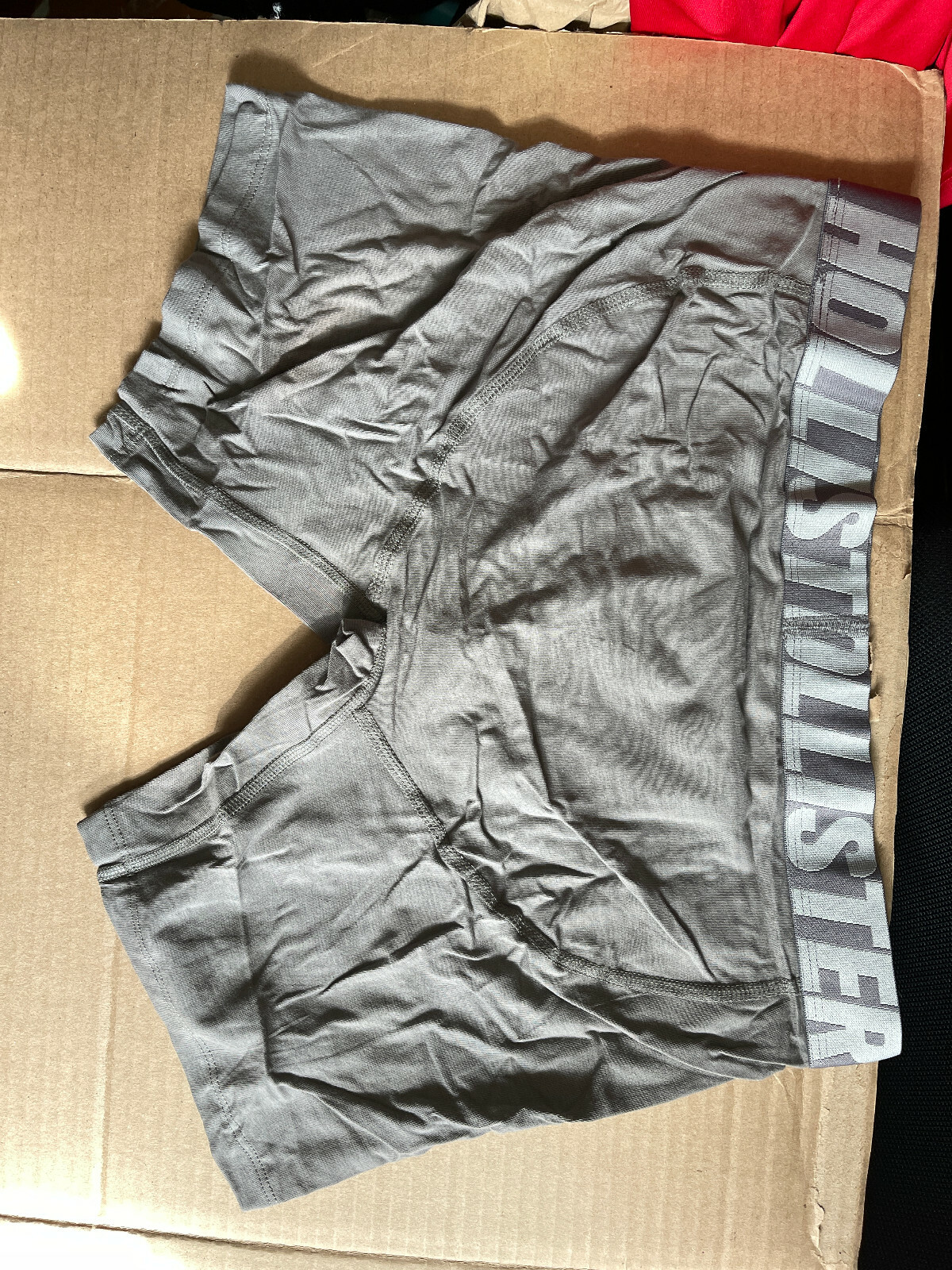 (Only one) Hollister Mens Longer-Length 7″ Inseam Logo Waist Boxer Briefs Size L
