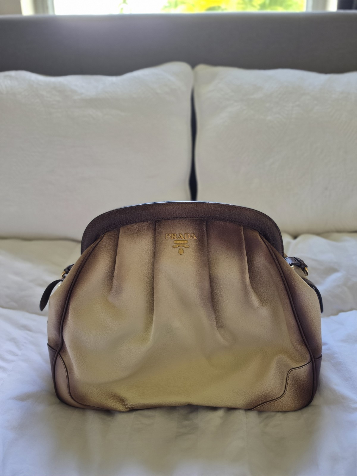 Prada Cinghiale Medium Pleated Frame Satchel Bag