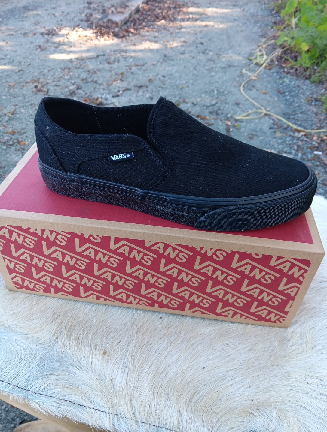 Size 8.5 – VANS Asher Triple Black