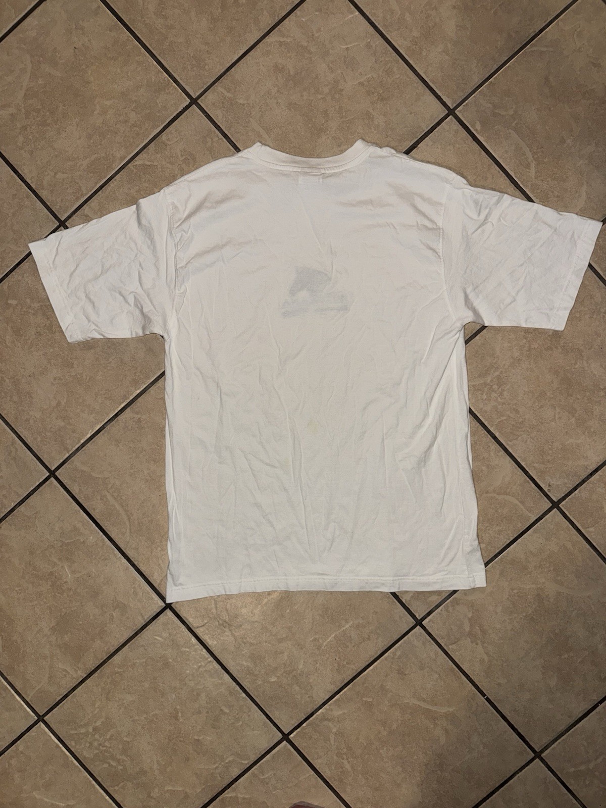 Botswana Experience Wildlife Safari T Shirt Embroidered Zebra Graphic Size L