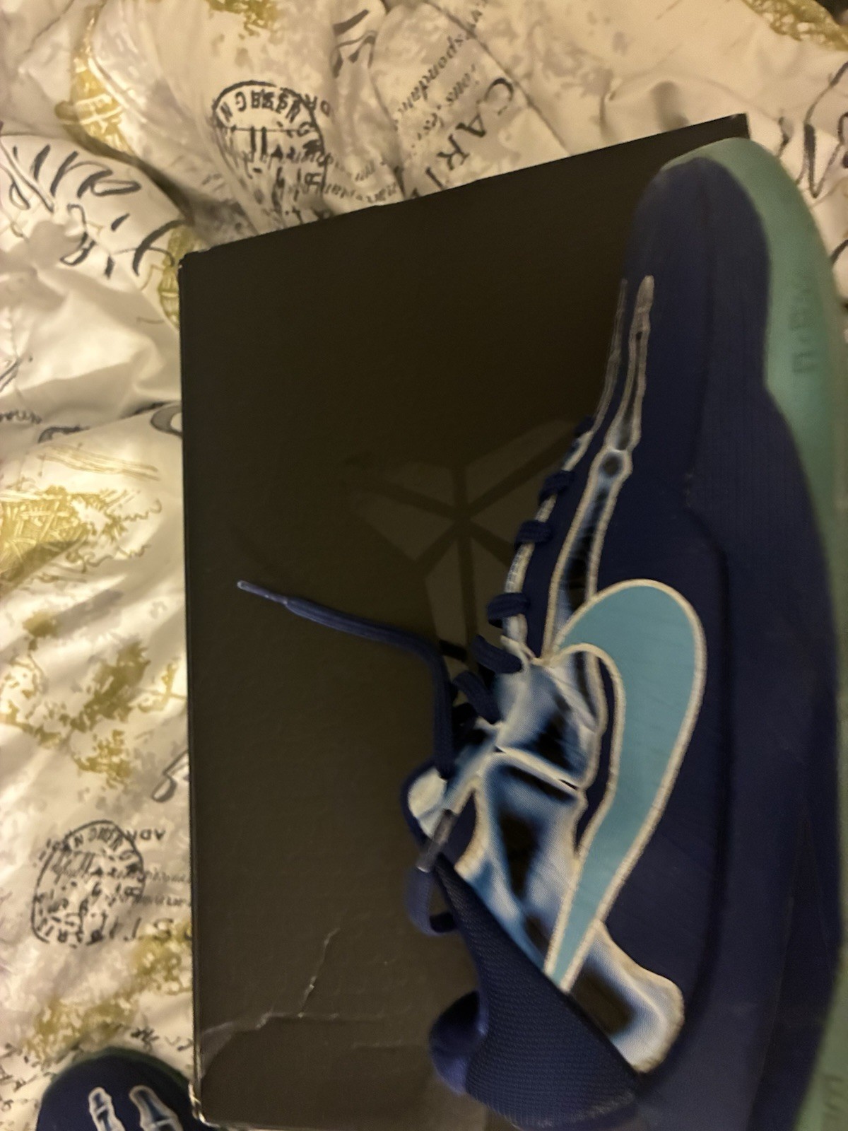 Nike Kobe 5 Protro X-Ray And kobe 8 venice beach both for 375 and both authentic